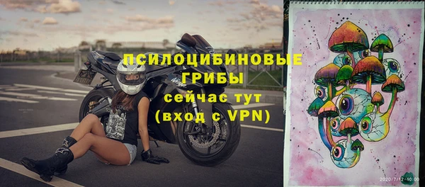 ALPHA PVP Волосово